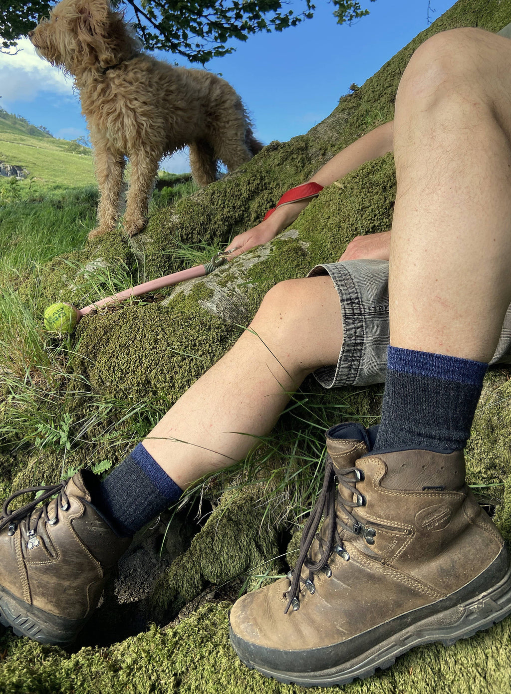 Alpakka Hiking Sokker