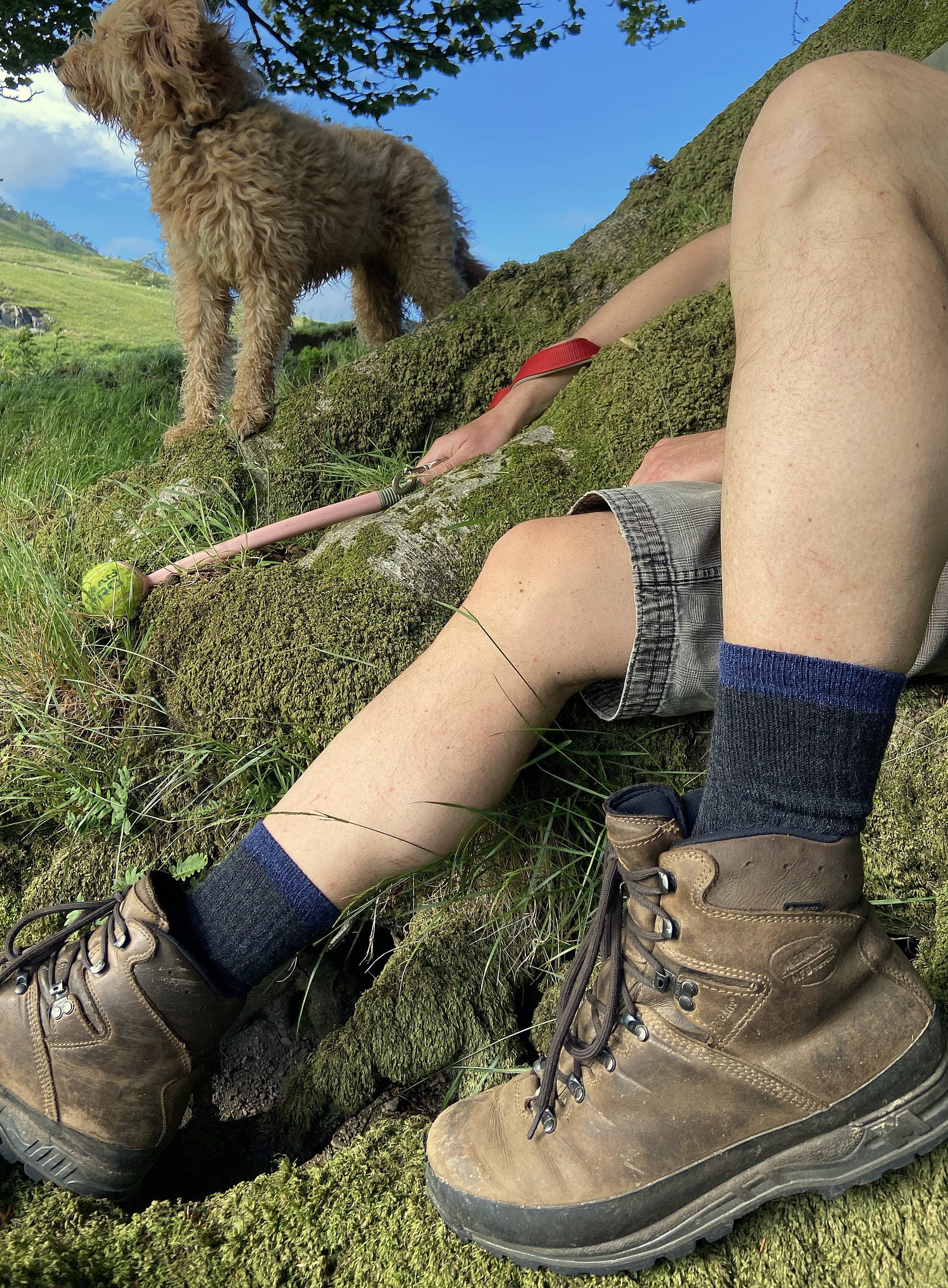 Alpakka Hiking Sokker