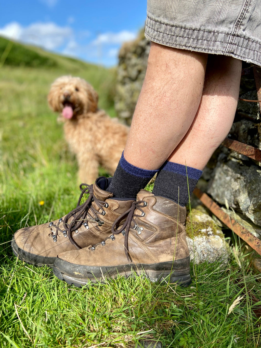 Alpakka Hiking Sokker